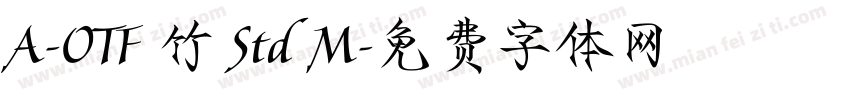 A-OTF 竹 Std M字体转换